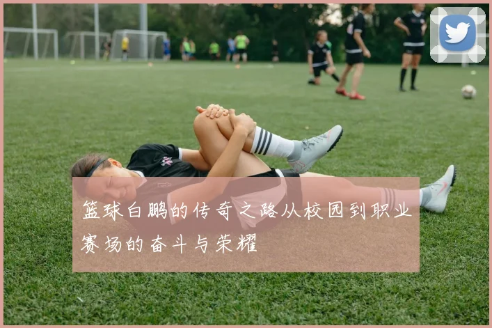 篮球白鹏的传奇之路从校园到职业赛场的奋斗与荣耀