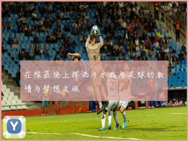 在绿茵场上挥洒汗水我与足球的激情与梦想之旅