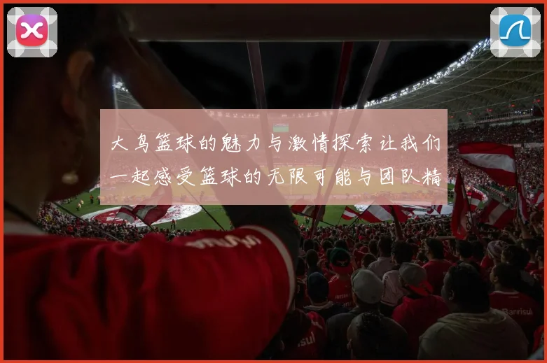 大鸟篮球的魅力与激情探索让我们一起感受篮球的无限可能与团队精神