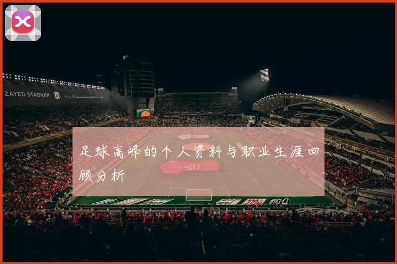 足球高峰的个人资料与职业生涯回顾分析